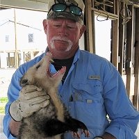 Pest Control Service of the Texas Department of Agriculture