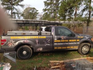 & Animal Control Services in Conroe,