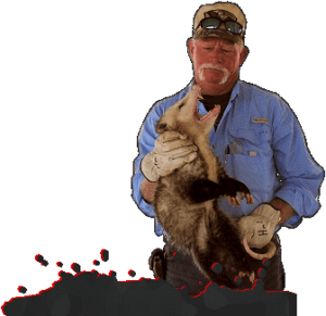 Critter Control in Houston: Wildlife Control & Trapping