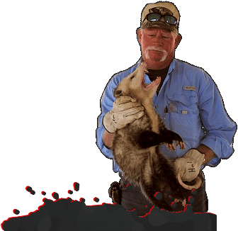 Animal Wildlife & Critter Control in Spring TX