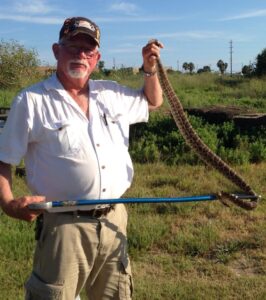 Baytown Rodent Removal