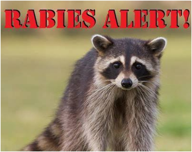 Rabies Alert