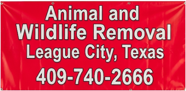 Pest Control