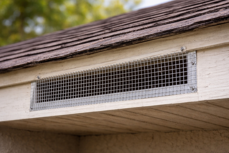 Wildlife proofing and entry point sealing Galveston TX call 281.399.2666