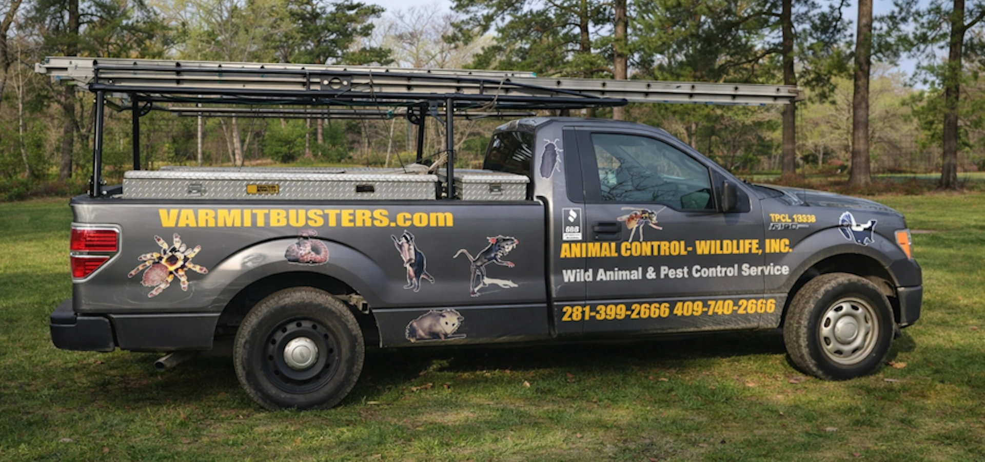 Varmit Busters wildlife removal service truck in Galveston and Houston area