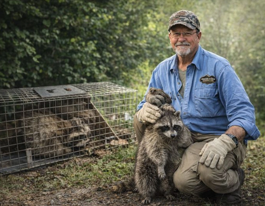 wildlife removal technician inspecting attic entry point in galveston 281.399.2666